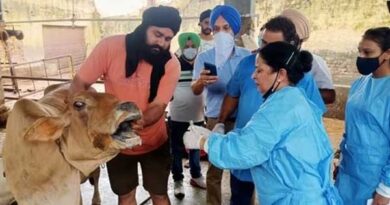 राजस्थान में अब पशुओं का डोर-स्टेप पर उपचार होगा