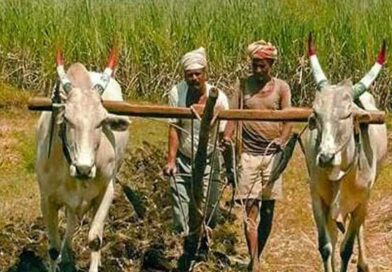 रबी-खरीफ अल्पकालीन फसली ऋण वितरण व्यवस्था पर संकट के बादल!