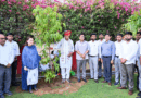 आरसीडीएफ एवं जिला दुग्ध संघों की खाली पड़ी भूमि पर होगा सघन वृक्षारोपण