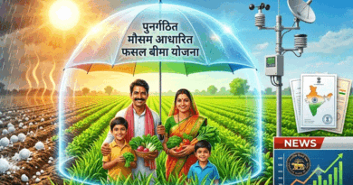 पुनर्गठित मौसम आधारित फसल बीमा योजना लागू, मौसम की मार से फसलों को मिलेगा सुरक्षा कवच